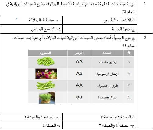 صورة السؤال