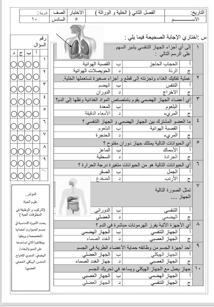 صورة السؤال